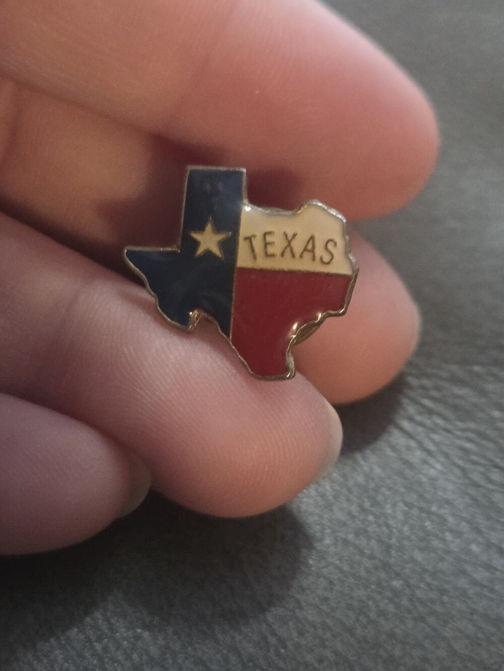 Vintage Sterling Silver National Guard Texas Pin